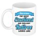 Bellatio Decorations adeau koffie/thee mok - excellent gepensioneerde - wit - keramiek - 300 ml