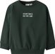 NAME IT Jongens Sweaters Maat 116 - NMMSLADE LS NREG SWEAT BRU - Pine Grove