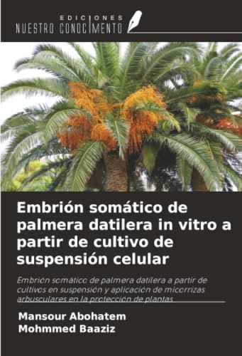 Embrión OmniScriptum SRL Embrión somático de palmera datilera in vitro a partir de cultivo de suspensión celular