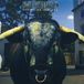 Swervedriver Mezcal Head