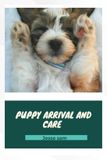 Puppy Independently Published Puppy Arrival and Care Paperback