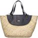 Le sac Carrie Noir