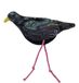 Wild Life Collection Wild Life Cat Starling (Spreeuw) kattenspeeltjes - kattenspeelgoed