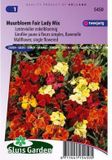 Sluis Garden Muurbloem Fair Lady mix, enkelbloemig