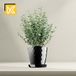 KADAX Pot avec Soucoupe, Pot de fleurs pour fleurs, plantes, herbes, intérieur, Jardinière en plastique, Pot décoratif, Cache-pot (16 cm, noir)