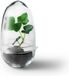 Design House Stockholm Grow Small Pot de culture Verre Transparent 14 cm