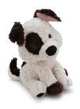 NICI Knuffeldier hond, 35 cm, wit - 62155