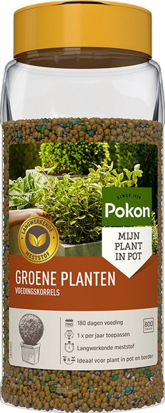 Pokon Voedingskorrels voor Groene Planten - 800gr - 180 dagen voeding - Plantenvoeding