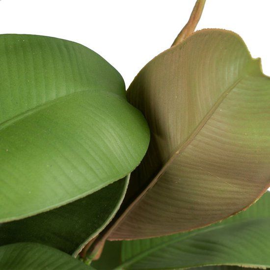 Decoratieve plant 134 cm Groen PVC Ek