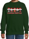 Bellatio Decorations Kersttrui/sweater voor jongens/meisjes - Miauwie Christmas - groen - Kerst poesjes 134/146