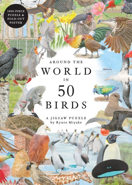 Around Laurence King Publishing Around the World in 50 Birds