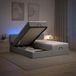 Maison Exclusive - Lit Ottoman avec matelas et éclairage LED, gris clair, 200 x 200 cm, tissu