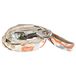 Puppia Botanical Lead hondenriem, beige, M