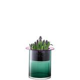 LSA International G1531-35-159 nestvaas/lantaarn/plantenbak, glas