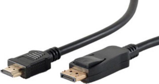 ShiverPeaks BASIC-S DisplayPort naar HDMI kabel 10 m