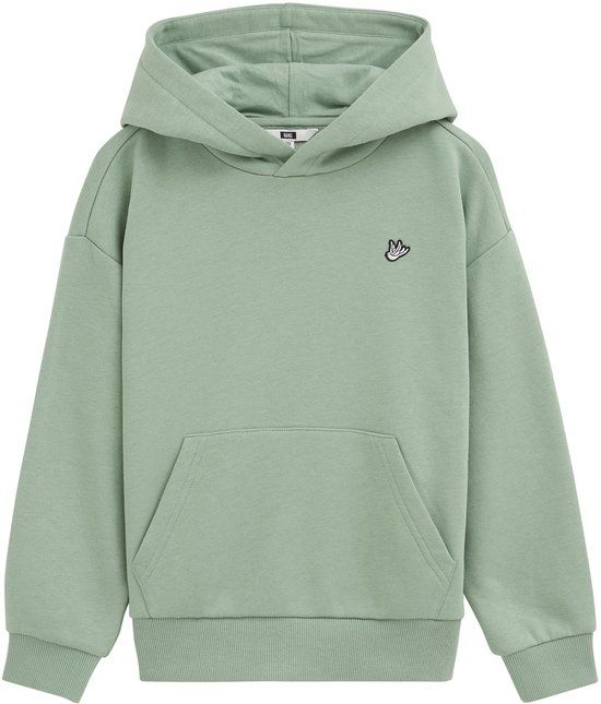 WE Fashion Jongens hoodie met embroidery