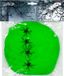 Boland Spinrag met spinnen 60 g groen