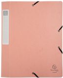 Exacompta 10x Klasseerdoos Cartobox vlak geleverd - Rug 40mm Glanskarton Aquarel - A4 - Geassorteerd - 14460E