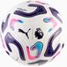 Puma Ballon de football Taille 5 - FIFA Quality - Blanc