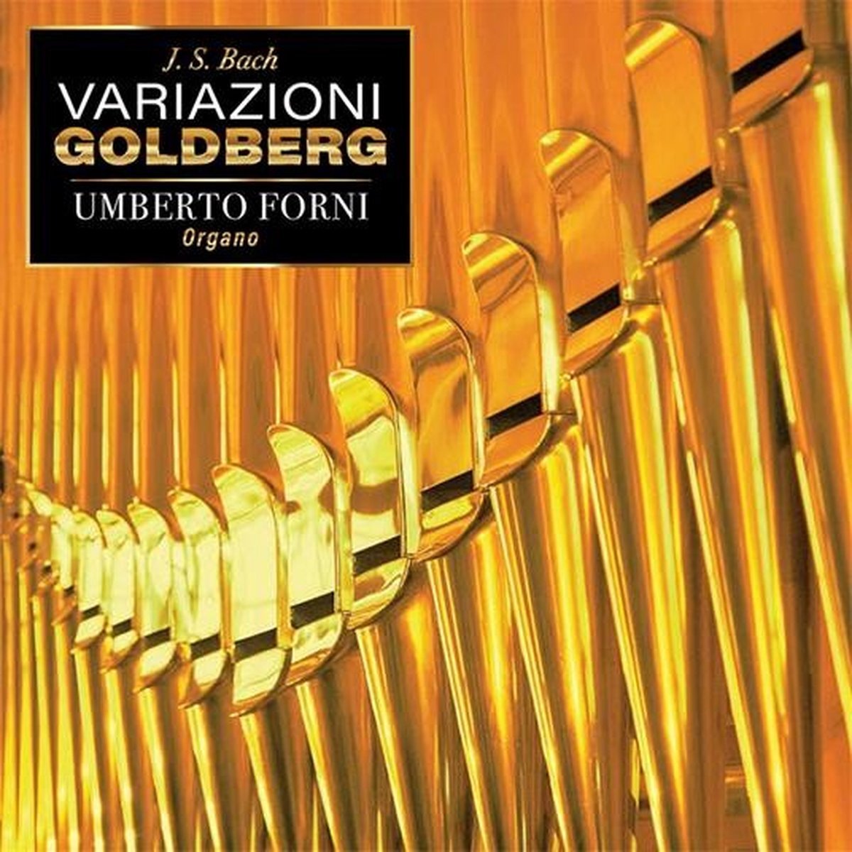 Music&Words Umberto Forni - J.S. Bach: Variazioni Goldberg (CD)