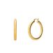 Lucardi Dames Stalen goldplated oorbellen glad