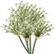 Emerald Allium/Sierui kunstbloem - 5x - losse steel - creme - 70 cm