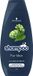 Schwarzkopf Shampoo For Men - 400 ml - For All Hair Types