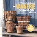 Mes créations en vannerie sauvage: Pour le jardin et la maison 12 pas-à-pas illustrés