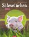 Schweinchen Weingarten Schweinchen Kalender 2027