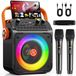 Karaokeset Bluetooth avec 2 microphones
