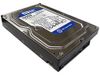 Western Digital (WD) WD3200AAJS Kaviaar Blauw SATA II 7200 RPM 8 MB Cache Bulk/OEM Desktop Harde Schijf voor PC, Mac, CCTV DVR, NAS, RAID- (320GB)