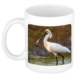 Bellatio Decorations Dieren lepelaar vogel foto mok 300 ml - cadeau beker / mok vogels liefhebber