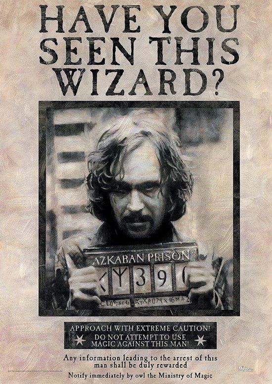 ABYSTYLE Harry Potter Wanted Sirius Black Poster - 98x68 cm
