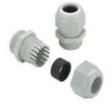 Weidmüller 1772280000 Wartel M12 Polyamide Grijs 100 stuk(s)
