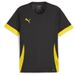 Puma Jersey teamGOAL