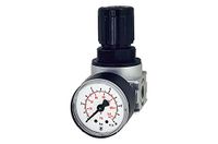 drukregelaar, RIEGLER Drukregelaar Multifix Mini, G 1/4, 0,2-6 bar, 1 stuk, 100349-RB 06-6