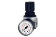drukregelaar, RIEGLER Drukregelaar Multifix Mini, G 1/4, 0,2-6 bar, 1 stuk, 100349-RB 06-6