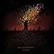 Embers God Is An Astronaut - Embers (2 LP)