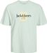 JACK & JONES Jorlafayette Branding Tee Ss Crew Nec Ln T-shirt Homme XL Coton Skylight