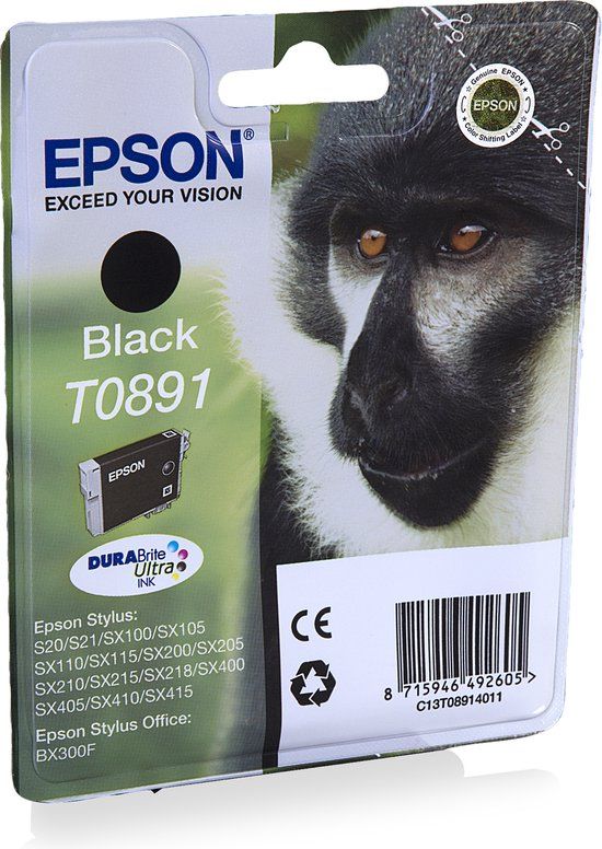Epson T0891 - Zwarte inktcartridge - 5.8 ml - Origineel