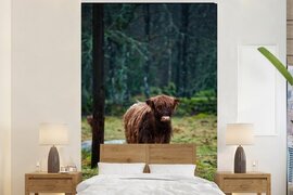 Nr1Wallpaper Behang - Fotobehang Schotse Hooglander - Bos - Mos - Breedte 145 cm x hoogte 220 cm