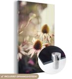 MuchoWow® Glass Painting 100x150 cm - Acrylic Glass Painting - White with Red Echinacea Flowers - Photo on Glass - Paintings