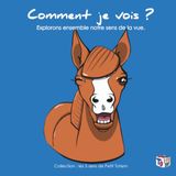 Comment Petit Totem Comment je vois ?: Explore les 5 sens de Petit Totem