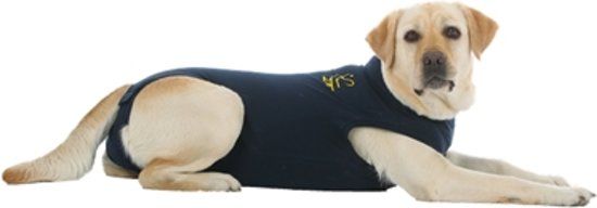 Medical Pet Kleding Shirt Hond Blauw M