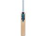 Gunn and Moore GM Diamond 202 Kashmir Willow Cricket Bat