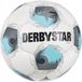 Derbystar Voetbal Bundesliga Club Tt V25 122034 Weiss/Grau/Blau