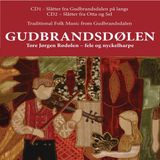 Gudbrandsdolen Etnisk Musikklubb Tore Jorgen Rodolen - Gudbrandsdolen - Traditional Folk Music From Gudbrandsdalen (2 LP)