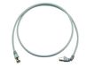 Telegärtner MP8 FS 500 LSZH-3.0 netwerkkabel Grijs 3 m Cat6a S/FTP (S-STP)