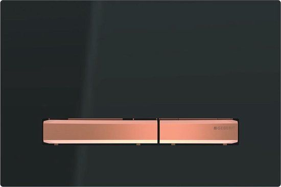 Geberit Sigma50 Bedieningspaneel - RVS - Modern
