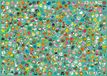 Ravensburger Puzzel Dieren – 1000 Stukjes